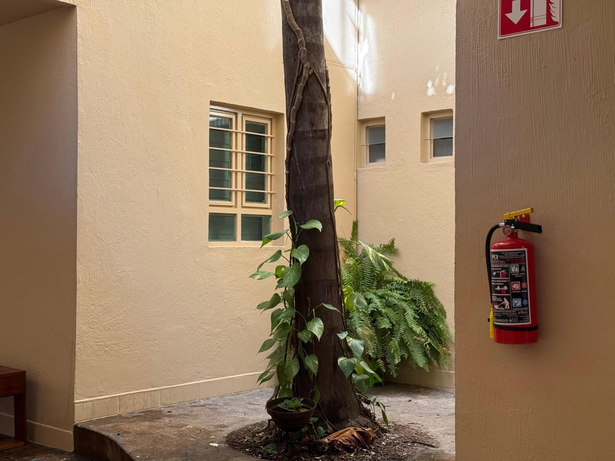 Villa La Palma Hotel Tequila Exterior photo