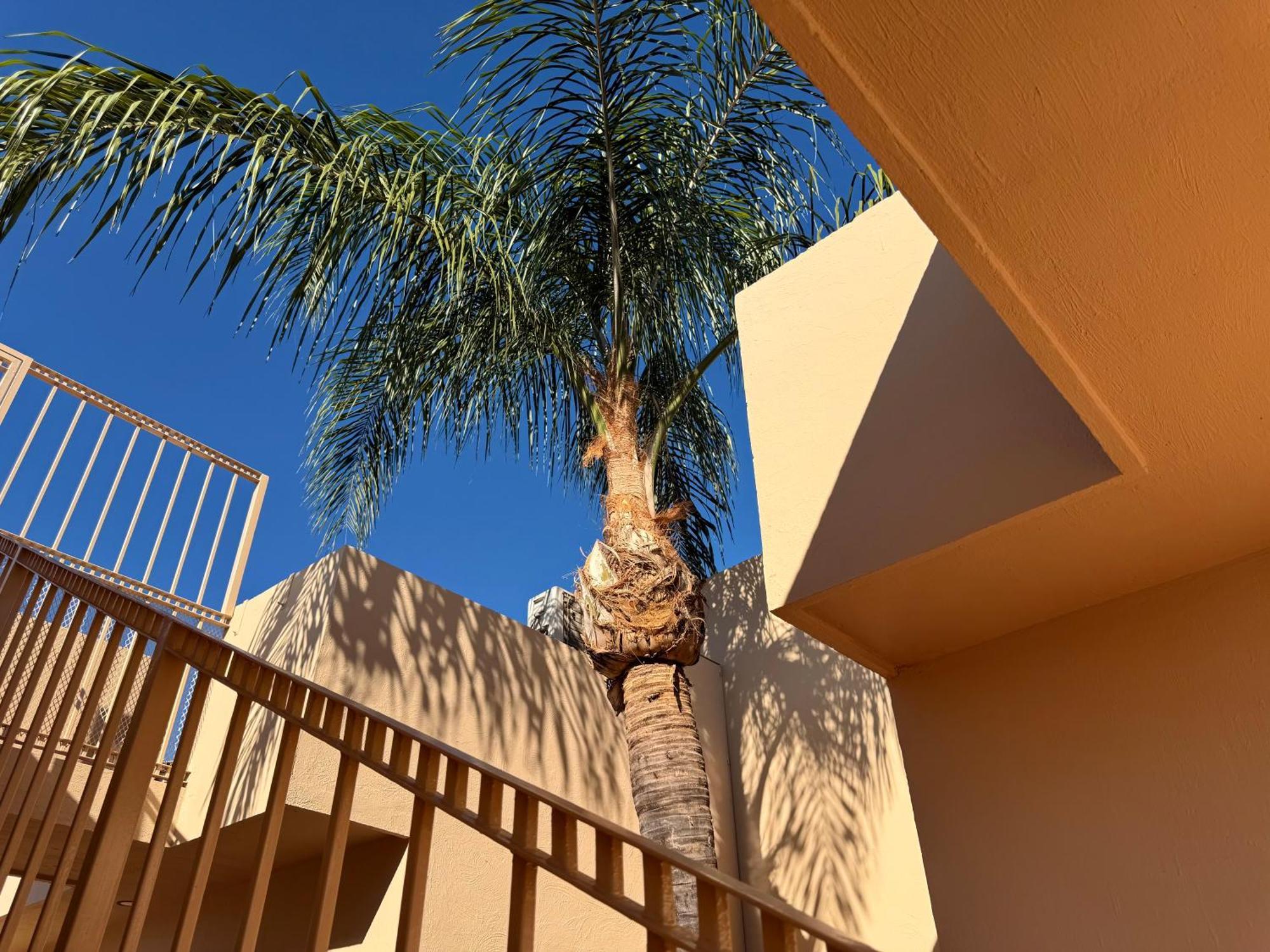 Villa La Palma Hotel Tequila Exterior photo